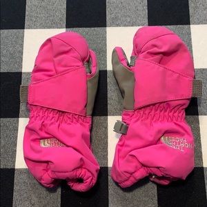 North face mittens.  Need a good cleaning